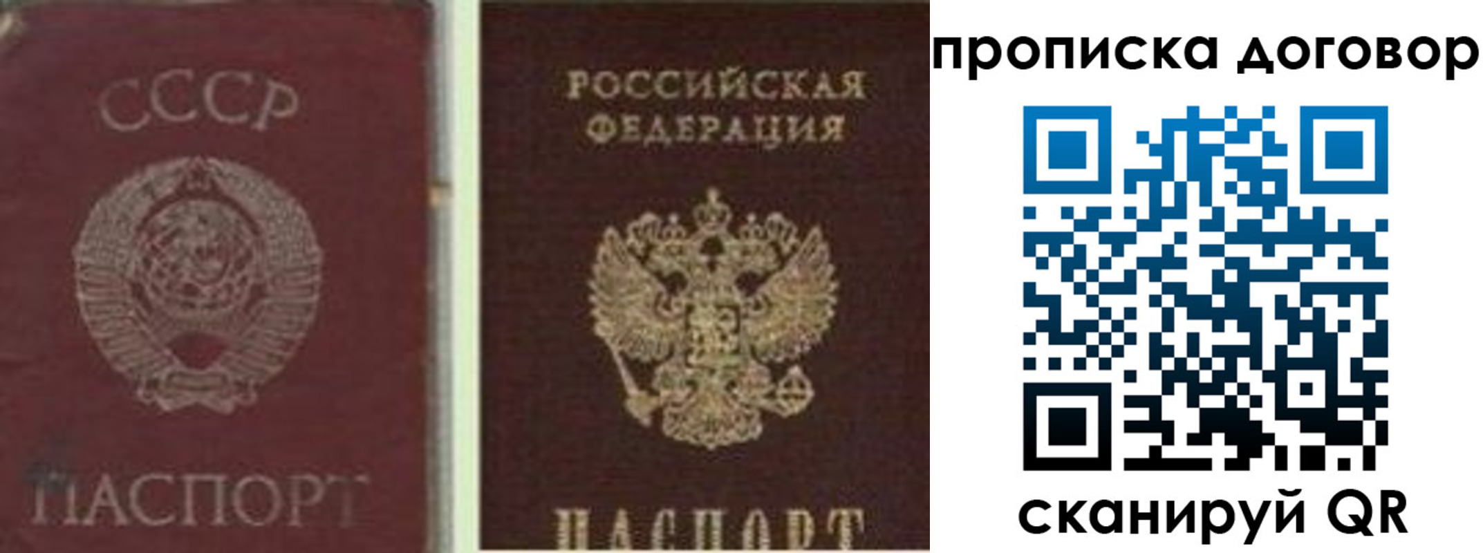 прописка гарантия в Балаково